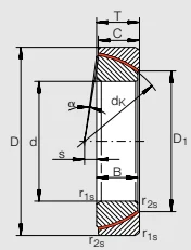 Шарнирные головки GE 180 SW INA