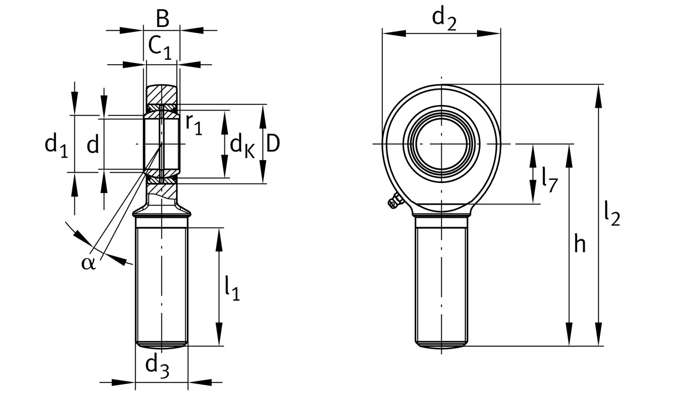 Шарнирные головки GAL30-DO-2RS INA