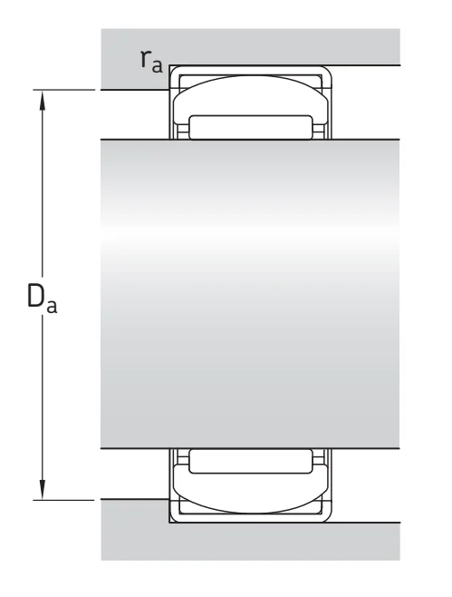 RPNA20/35 SKF — изображение 2