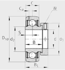 Шариковый радиальный подшипник GRA103-NPP-B-AS2/V INA