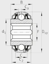 Шариковый радиальный подшипник GVKE16-205-KRR-B-2C-AS2/V-AH01 INA