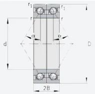 Однорядный радиально-упорный шариковый подшипник BAX110-F-T-P4S-DBL INA