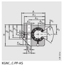 Линейный шарикоподшипник и корпусный узл KGNCS 20 C-PP-AS INA