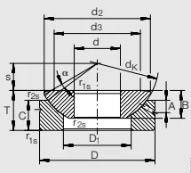 Шарнирные головки GE 200 AX INA